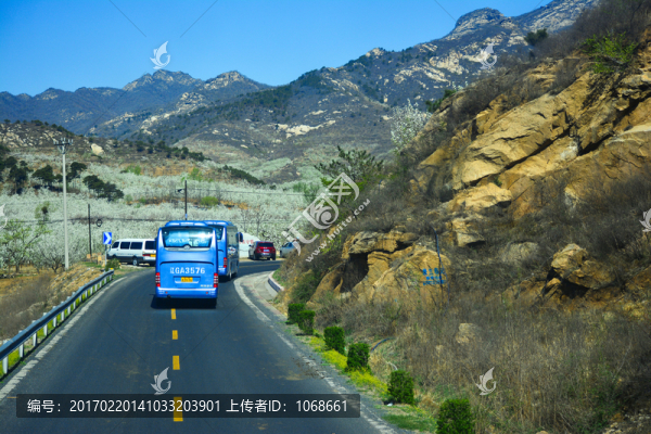 閭山,梨花大道