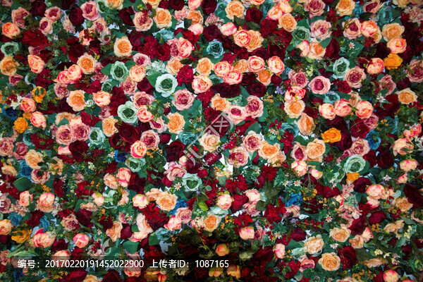 鮮花背景墻