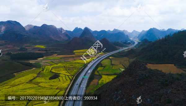 高速公路,油菜花,路