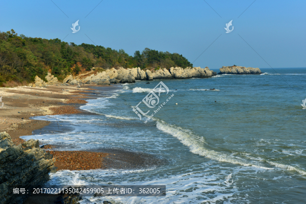 海岸
