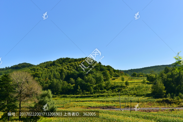 田園風(fēng)光