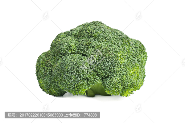 西蘭花