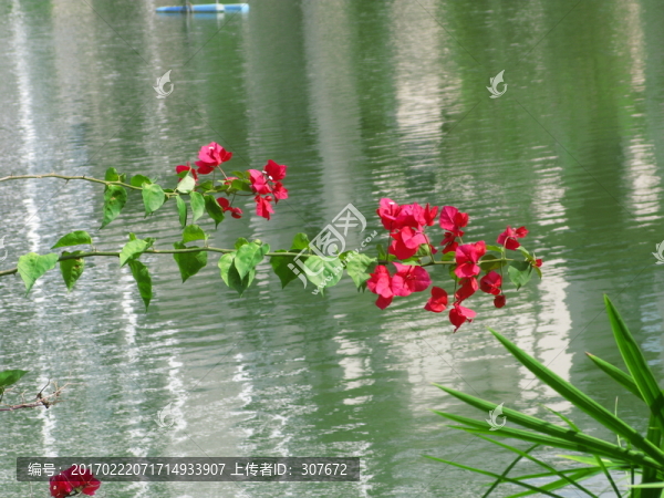 花