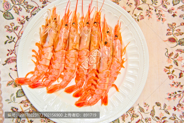 北極蝦特寫
