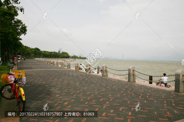 深圳,紅樹林