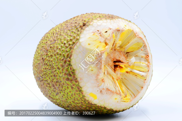 菠蘿蜜