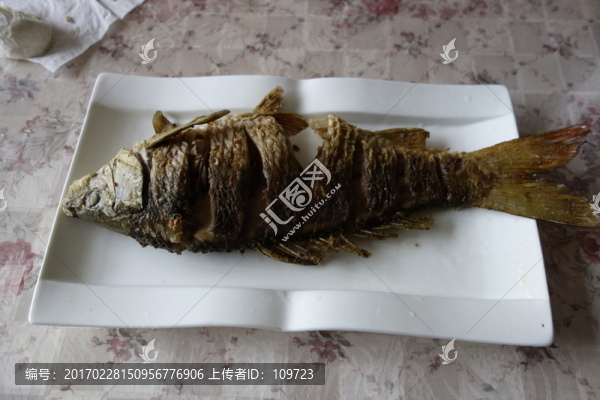 魚