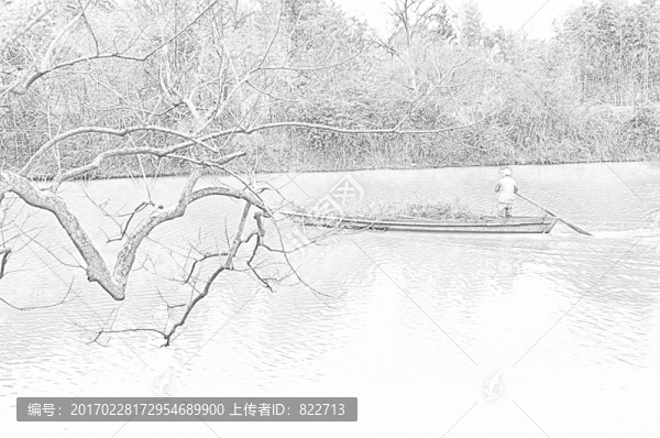 西溪濕地線描