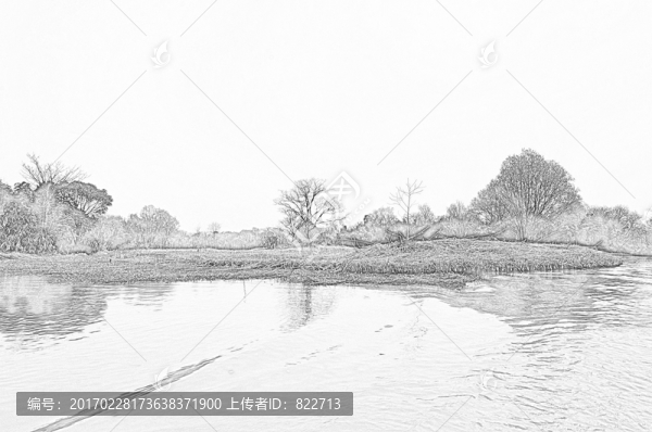 西溪濕地線描