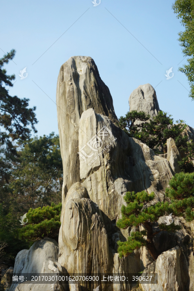 奇石盆景造型藝術(shù)