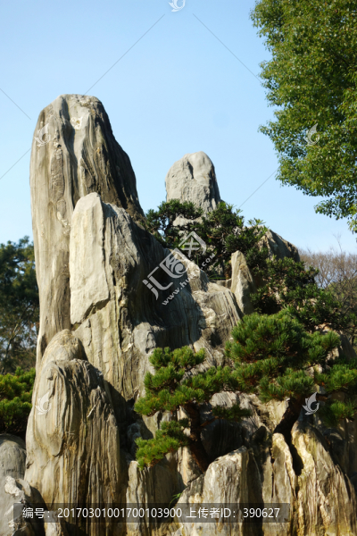 假山園藝造型