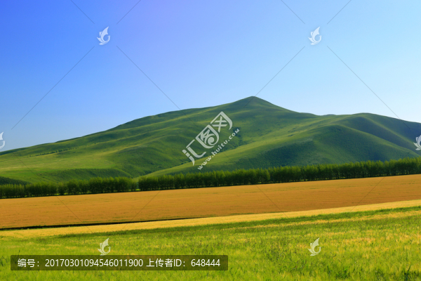 山嶺麥田
