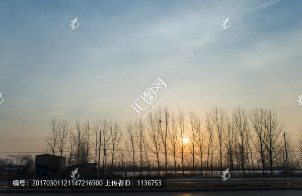 晨曦
