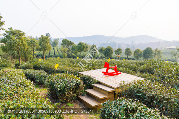 采茶,茶場,茶園