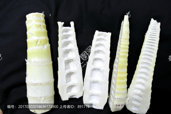 竹筍素材,冬筍,春筍