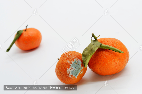 腐爛的水果