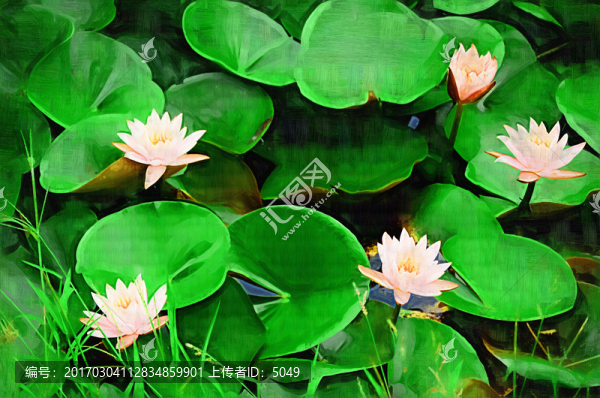 油畫荷花