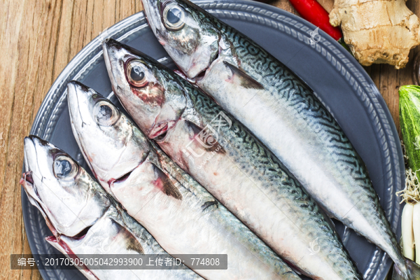 鯖魚