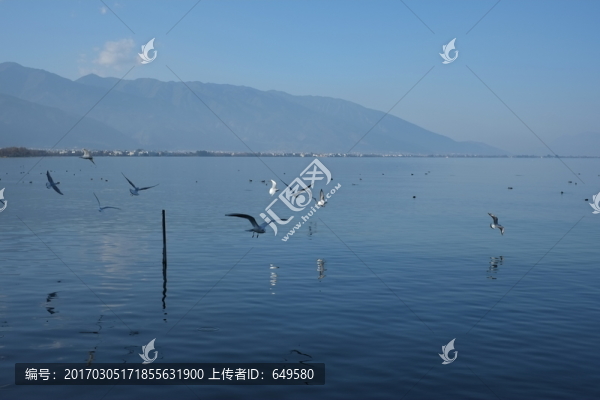 洱海