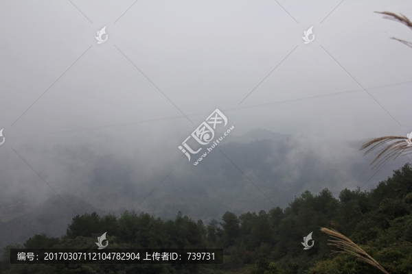 千野草場(chǎng)