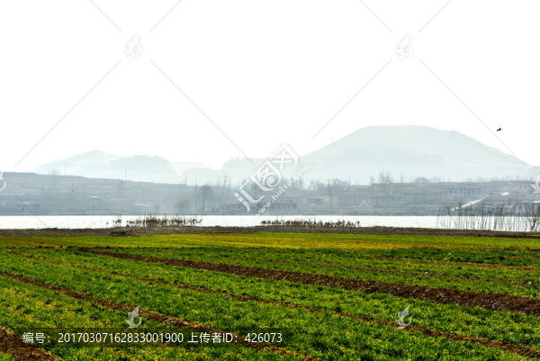 田野湖泊