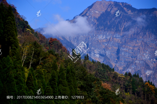 雞冠山森林公園