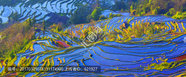 元陽(yáng)壩達(dá)梯田