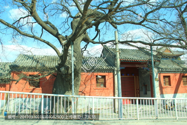 北京藝術(shù)博物館