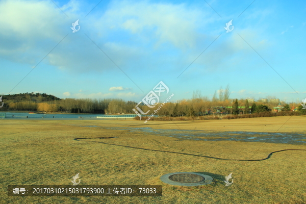 奧林匹克公園濕地