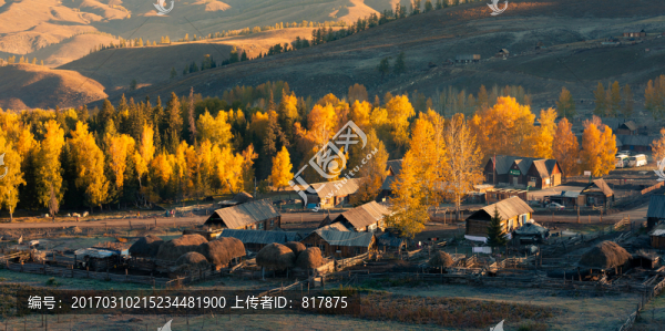 秋景