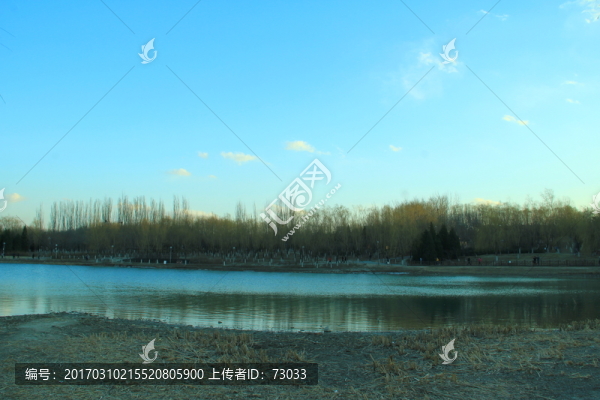 奧林匹克公園濕地