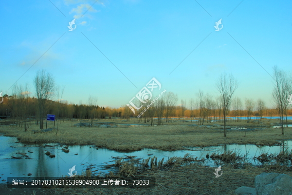 奧林匹克公園濕地