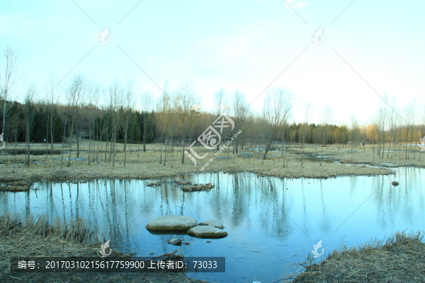 奧林匹克公園濕地