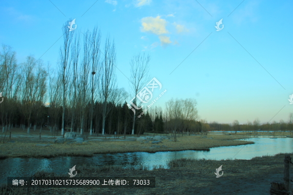 奧林匹克公園濕地