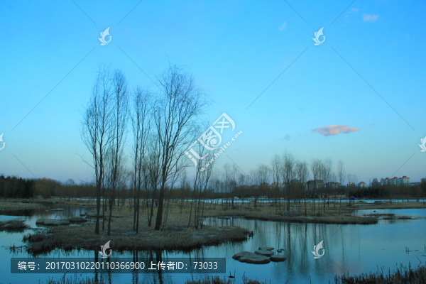 奧林匹克公園濕地