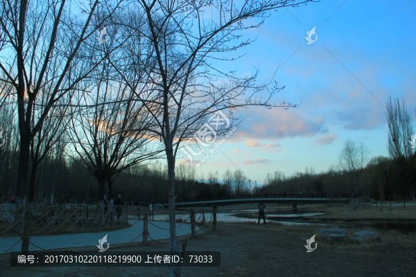 奧林匹克公園濕地