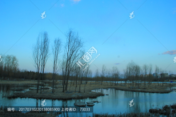 奧林匹克公園濕地