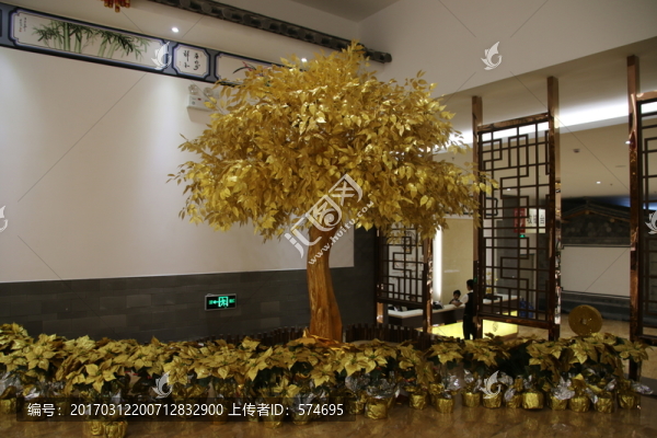金樹(shù)