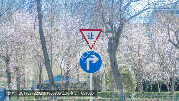 春花