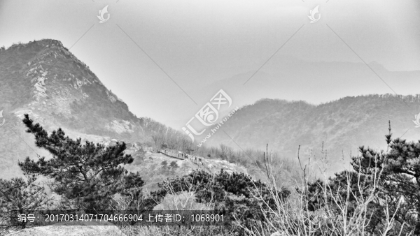蒙山,森林棧道