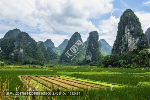 山野風(fēng)光
