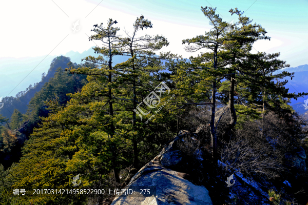 秦嶺萬華山,高格