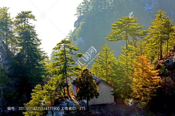 秦嶺萬華山,高格