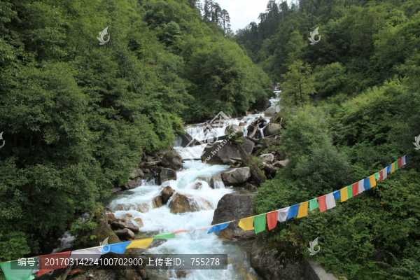 山泉河流