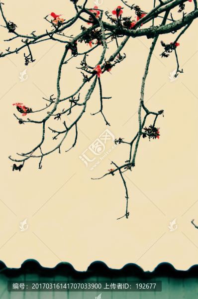 木棉花開