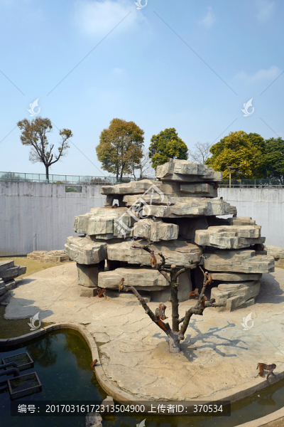動物園,戶外,休閑場所,春天
