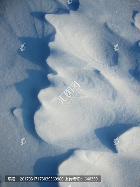 雪紋