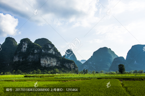 桂林會仙喀斯特田園