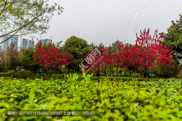 東湖公園