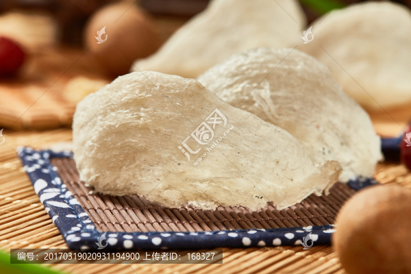 燕窩高清圖